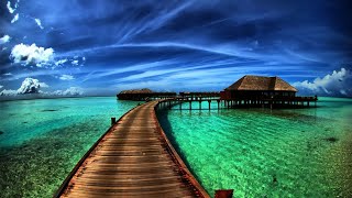 4 hours Peaceful amp Relaxing Instrumental MusicLong Playlist [upl. by Ardnuahsal]