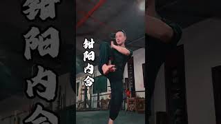 3 methods of exerting force wingchun vingtsun kungfu selfdefense 咏春 咏春拳 詠春拳 詠春 功夫 [upl. by Annayar901]