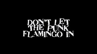 Dont Let The Punk Flamingo In [upl. by Broddy]