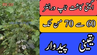 Best cotton variety for early sowing in Pakistan cotton [upl. by Oliva]