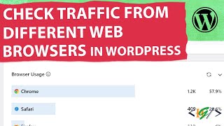 How to Check Traffic from Different Browsers in WordPress  Monitor Traffic  Web Browser [upl. by Elleirb]