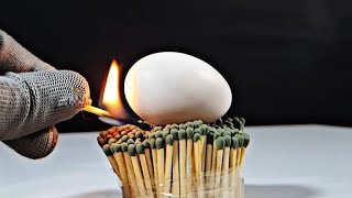 Egg vs Matches  Can Egg Survive Fire [upl. by Felder]