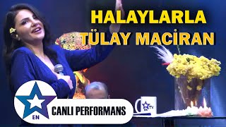 Halaylarla Tülay Maciran  Canlı Performans 2024 [upl. by Katti92]