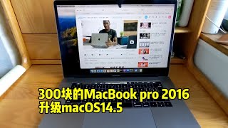 300块的MacBook Pro 2016升级macOS145 [upl. by Danya]