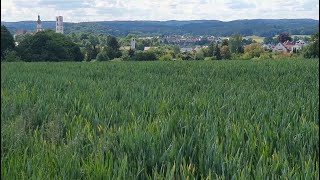 Ausflug in die Natur am Rande der Stadt SulzbachRosenberg Bayern [upl. by Meehahs]