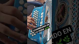 Chambeando en Lo Verde Herencia de Grandes acordeon herenciadegrandes corridos cover [upl. by Aivil711]