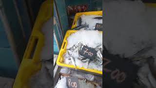 Poissonnerie la corail  Tala Hamza fishing fish seafood restaurant streetfood food [upl. by Leelahk148]