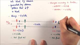 AS Biology  Tissue fluid formation OCR A Chapter 83 [upl. by Daryle]