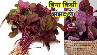 लाल साग बनाने का सबसे आसान तरीका  Lal saag recipe in simple ways [upl. by Cart802]