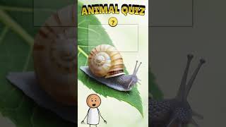 🎉 19ième quiz de la série  🐾 Teste tes connaissances sur les animaux et reste connecté  quizz [upl. by Nythsa]