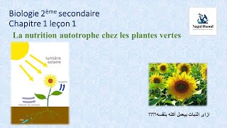 Biologie 2ème sec Chapitre 1 La nutrition autotrophe التغذية الذاتية [upl. by Ziladnerb]