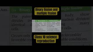 Difference between binary fission and multiple fission [upl. by Opportina]