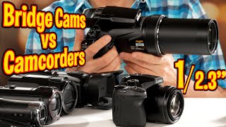 Small Sensor Superzoom Bridge Cameras vs Camcorders vs Compact Pocket Cameras [upl. by Hekking]