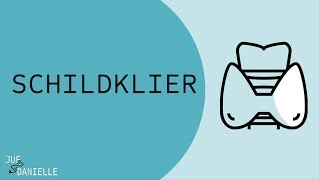 Schildklier en schildklierhormonen [upl. by Annabelle]