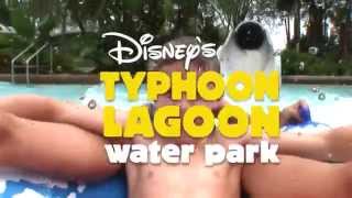 Disneys Typhoon Lagoon Water Park [upl. by Zohara]