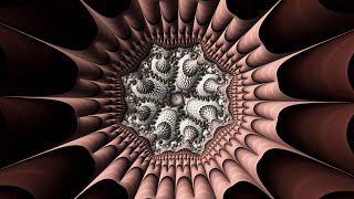 The Hardest Trip  Mandelbrot Fractal Zoom [upl. by Adranoel]