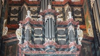 Dietrich Buxtehude Toccata in d BuxWV 155 [upl. by Nylrebmik]