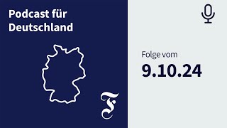 „Shoppen wie ein Milliardär“ Die fragwürdigen Methoden von Temu  FAZ Podcast für Deutschland [upl. by Etnoel]