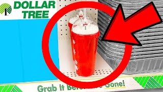 10 Things You SHOULD Be Buying at Dollar Tree in December 2024 [upl. by Bartholemy70]