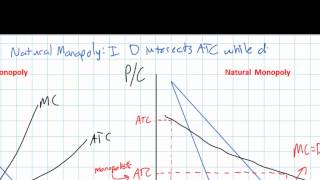 Natural Monopoly and the need for Government Regulation [upl. by Chil]