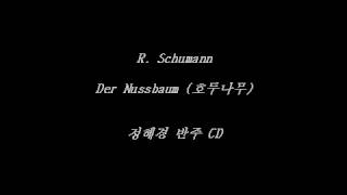 Der Nussbaum Op 25 No 3 R Schumann  Accompaniment [upl. by Thilda988]