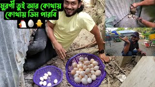 মুরগী তুই আরকোথায় কোথায় ডিম পারবি 🥚🐥 [upl. by Yniffit758]