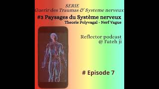 7 Paysages du Système nerveux [upl. by Shirleen]