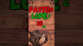 Pastor Lopez Exitos De Siempre Navidad Bonita music navidad video [upl. by Eendys]