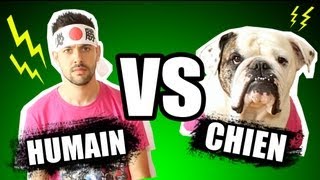 Humain vs Chien  les étranges expériences [upl. by Edeline]