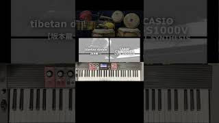 【Salsa】TIBETAN DANCE piano ver）【坂本龍一】CTS1000V [upl. by Clough186]