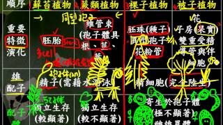 4 1補充植物世代交替之趨異演化的意義種子植物的成功三慧 [upl. by Yldarb]