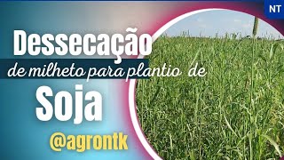 DESSECAÇÃO DE MILHETO PARA PLANTIO DE SOJA agrontk [upl. by Bullough]