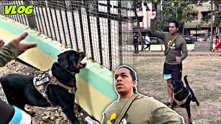 Dangerous Breed Kispe Ho Gaya Gussa Aur Rottweiler Patience Test  Day187 dog rottweiler vlog [upl. by Christmann914]