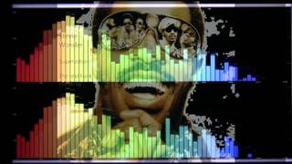 Stevie Wonder Superstition  The real Funk Remix by Ultra S [upl. by Anairotciv844]