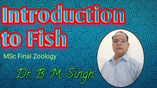 Introduction to Fish [upl. by Oriel942]