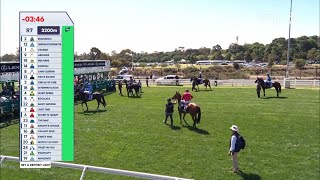 Knights Choice – Lexus Melbourne Cup – Lexus Melbourne Cup Day Race 7 [upl. by Kingston790]