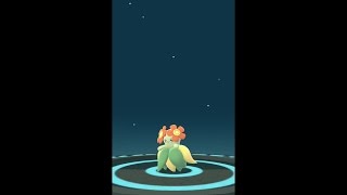 ODDISH TO BELLOSSOM EVOLUTION  POKEMON GO [upl. by Omura147]