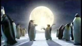 Comercial da Coca cola com urso e pinguins [upl. by Navnod]