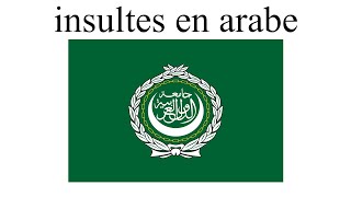 APPRENDRE les INSULTES en ARABE 🇦🇪 [upl. by Odelet]