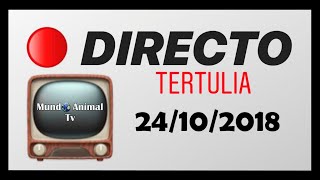 🔴DIRECTO en VIVO  24102018  Entrevistas en DIRECTO  Activismo Animal  Mundo Animal Tv [upl. by Krissie]