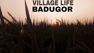 VILLAGE LIFE II BADUGOR II KHUNGANGI FAJARABA VIEW II vlog villagevlog [upl. by Llemart]