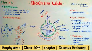 Emphysema Class 10th chapter Gaseous Exchange [upl. by Nylrac396]