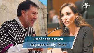 No pidas disculpas retírate del Senado Fernández Noroña a Lilly Téllez [upl. by Hcirdeirf544]