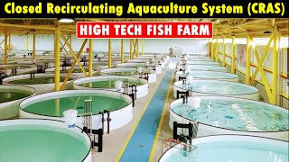 Closed Recirculating Aquaculture System CRAS  RAS Fish Farming  Modern Fish Farming Technology [upl. by Anelra]