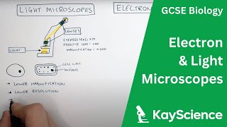 Electron vs Light Microscopes Explained  GCSE Biology  kaysciencecom [upl. by Rica501]