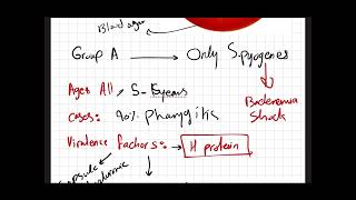 Microbiology  Streptococcus Species GramPositive Cocci [upl. by Jamnis]