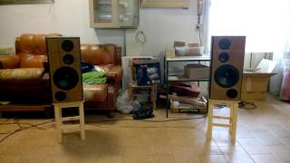 Scanspeak Discovery 3w classic by Troels Gravesen DIY speakers [upl. by Menard930]