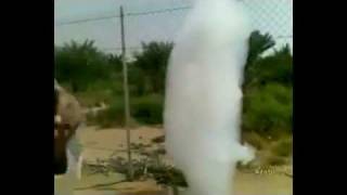 FALLEN CLOUD Man Makes Contact with Cloud from Sky WTF IS THIS Phenomenon [upl. by Lanford]