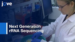 Sequencing Of 16S Ribosomal RNA Gene Amplicons [upl. by Gerkman]