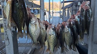 How to Catch ALL the CRAPPIE you want EASY using jigs at Longview Lake Marina [upl. by Nithsa188]